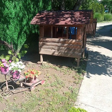Вілла Tera Nova Врднік Екстер'єр фото