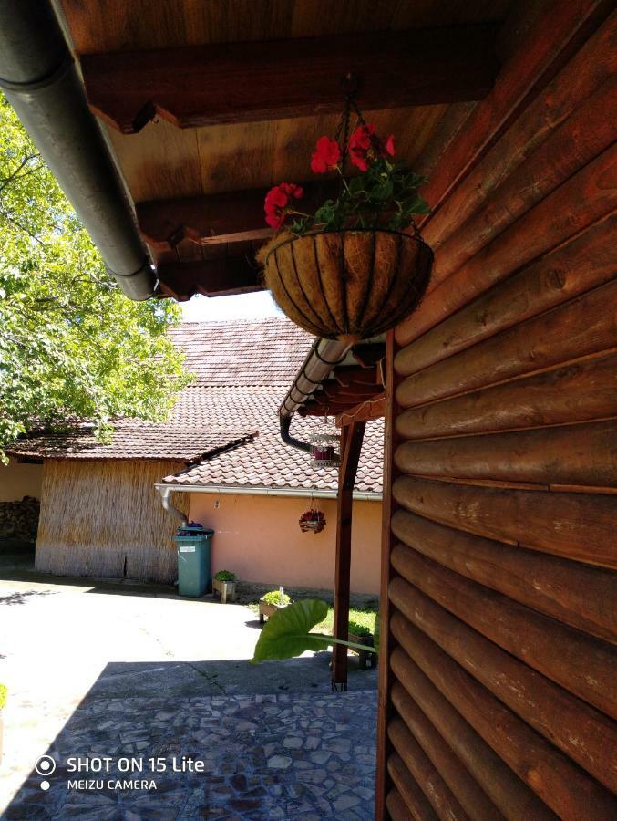 Вілла Tera Nova Врднік Екстер'єр фото